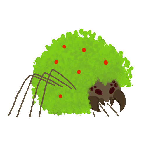 leaf spider